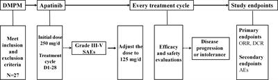 Efficacy and Adverse Events of Apatinib Salvage Treatment for Refractory Diffuse Malignant Peritoneal Mesothelioma: A Pilot Study